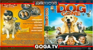 დაკარგული ძაღლი / Dog Gone