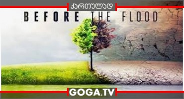 წყალდიდობამდე / Before the Flood