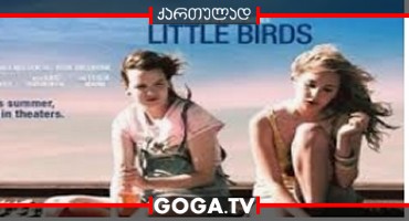 პატარა ჩიტები / Little Birds