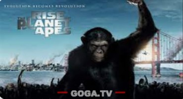 მაიმუნების პლანეტის აჯანყება / Rise of the Planet of the Apes