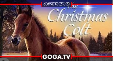 საშობაო კვიცი / The Christmas Colt