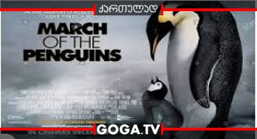 საიმპერატორო პინგვინების მარში / March of the Penguins