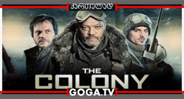კოლონია / The Colony