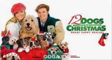 12 ძაღლი შობისთვის 2 / 12 Dogs of Christmas 2: Great Puppy Rescue