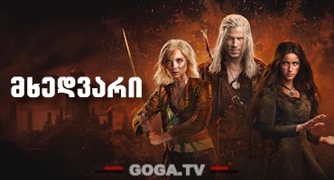 მხედვარი